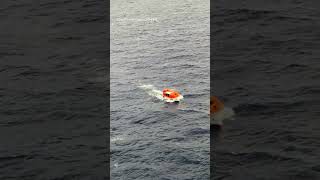Carnival Liberty Passenger Dies After Jumping Overboard From Balcony. #cruise #cruisenews