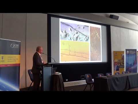 [OEMF2017] Some Thoughts about the aspects of rock mechanics and rock engineering in Mars