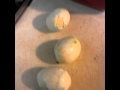 My Funny Vine Cx