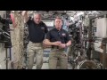 Jeff Williams lose the head - NASA Circus