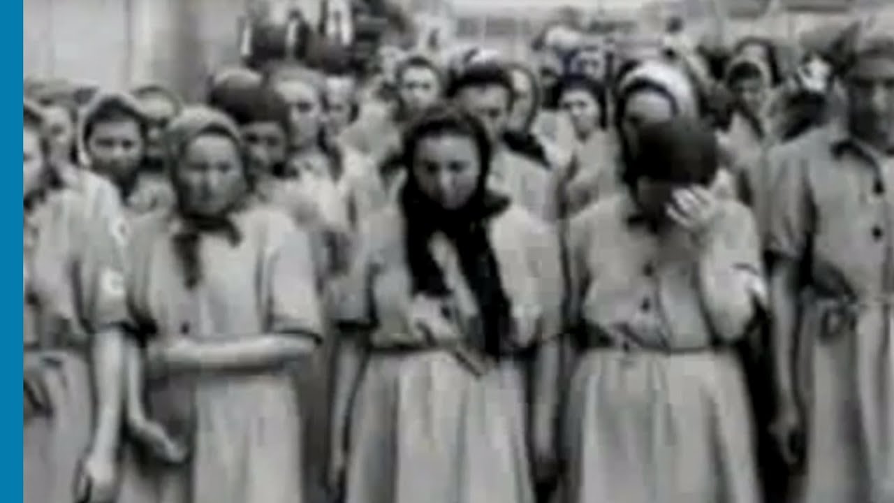 Surviving the Holocaust: Hedy Hirsch's Story