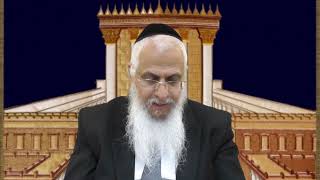 מסכת מועד קטן פרק ב (הרב יורם סרי) - התמונה מוצגת ישירות מתוך אתר האינטרנט יוטיוב. זכויות היוצרים בתמונה שייכות ליוצרה. קישור קרדיט למקור התוכן נמצא בתוך דף הסרטון