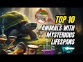 Top 10 Mysteries Of Longevity In The Animal World