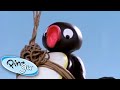 Pingu And The Postman Pingu Cartoons For Kids