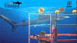 DIA 2 Expo Tiburon218