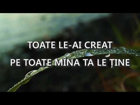 06  Toate le ai creat