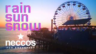 Rain, Sun, Snow - Neccos For Breakfast (Official Music Video)