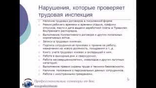 Что проверяет трудовая инспекция.