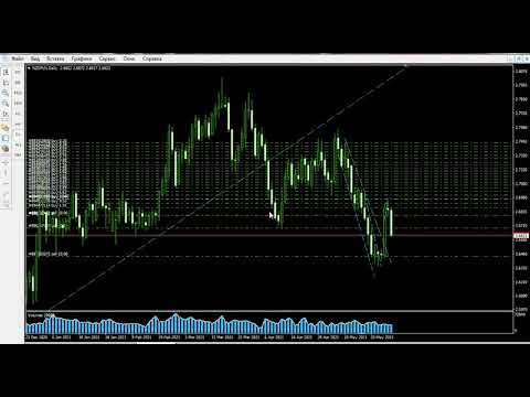 Video Calculation ProfitLoss