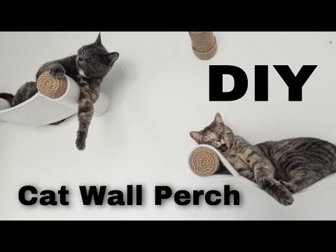 DIY Cat Wall Perch/Hammock/Shelf | Easy Step by Step Tutorial