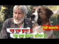 The Call Of The Wild Full Movie Hindi Dubbed Latest Movie