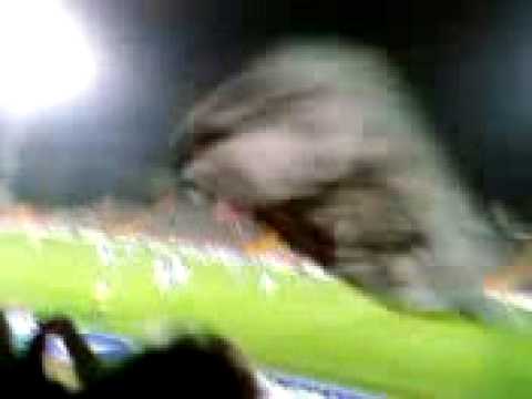 Sv Darmstadt 98 vs. SC Freiburg U23 (2)