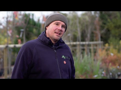 What is Plant Healthy 