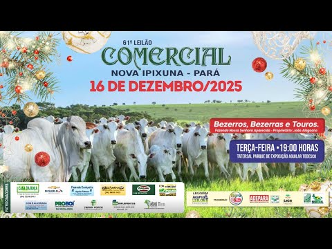 62º LEILÃO COMERCIAL - NOVA IPIXUNA / PA