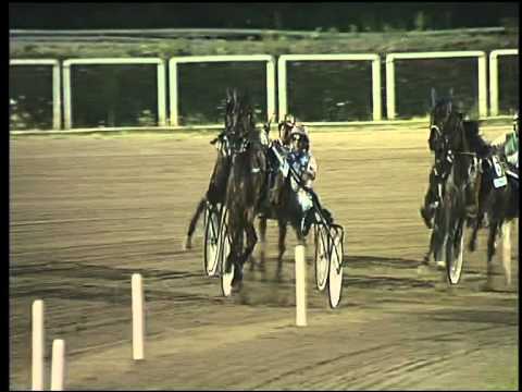 Trotto 25/07/2015 - 4° corsa