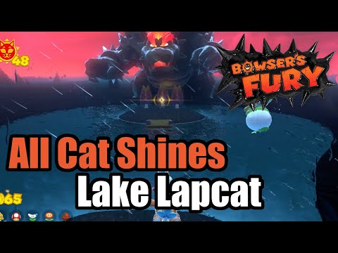 Bowser's Fury - Lake Lapcat - All 40 Cat Shines