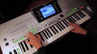 Moonlight Serenade - Heidrun Dolde