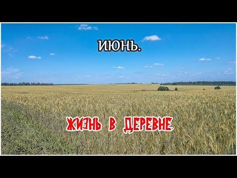 Жизнь в деревне. Июнь.