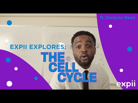 Expii Explores: The Cell Cycle ft. Dwayne Reed (BIOLOGY RAP)