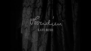 Kate Bush - Houdini (Lyric Video Edit)