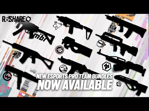 July 2023 Pro Team skins | Rainbow Six Esports
