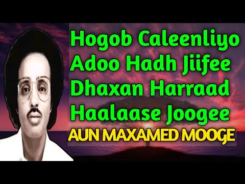 Hogob Caleenliyo adoo hadh jiifee | Nabsiga Hiishaan | Maxamed mooge heestii nabsiga  | mooge kaban