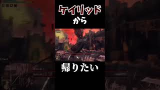 あいかわらずケイリッドにいる弥生人、無事複数ボスにボコられる #エルデンリング #えび天 #shorts