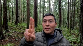 I've Come to a Crossroads of Authenticity and Survival... I've Been Here Before