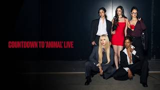 KATSEYE - Live Countdown to 'Animal'