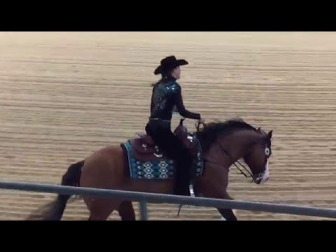 Gina Schumacher + GOTTA NIFTY GUN at 2016 NRHA European Open Futurity - Kreuth Germany
