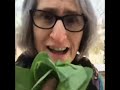 Eat Your Vegetables Remix Meme