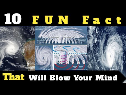 Top fun facts about CYCLONE 🌀 which are actually not funny 😂| Hurricane #staysafe