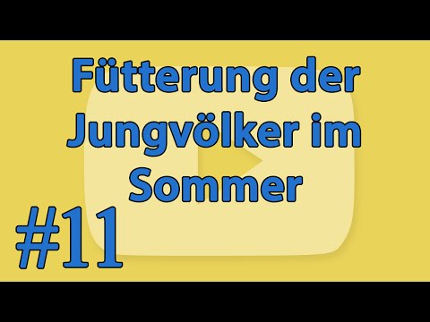 , title : '[#11] ► Fütterung der Jungvölker im Sommer'