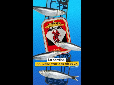 La sardine, nouvelle star des réseaux
