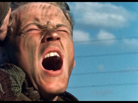 Hæren i arbejde (Film fra 1961)