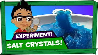 Kid Experiments | Salt Crystals