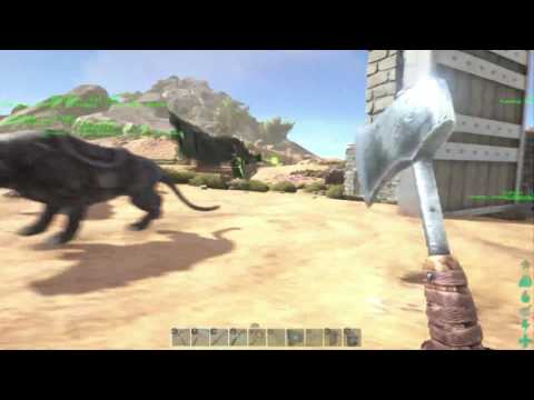 Our first Wild Poison Wyvern encounter