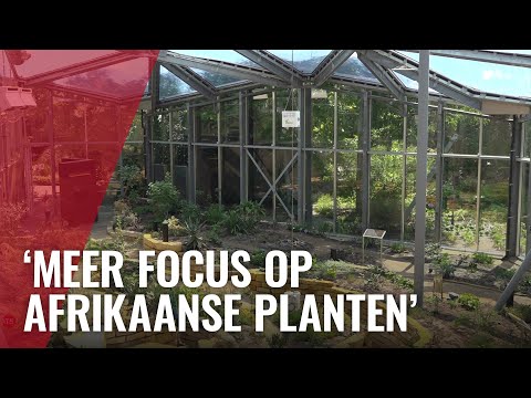 Zo ziet de gerenoveerde Hortus Botanicus er uit