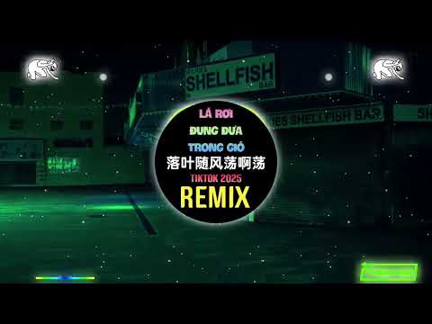 窝窝 - 落叶随风荡啊荡 (车载DJ版) L&aacute; Rơi Đung Đưa Trong Gi&oacute; (Remix Tiktok) - Oa Oa 