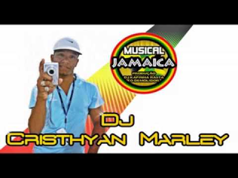 MELO DE CABEÇA DE GELO 2013 - DJ CRISTHYAN MARLEY