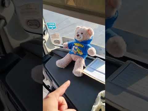 Volvo FH 2020 Cab Tour