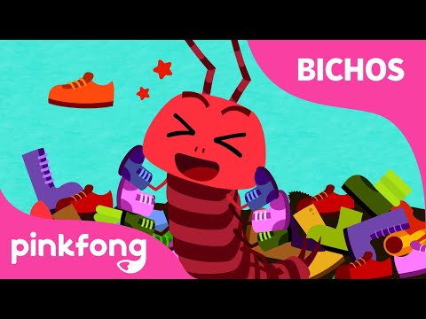 Cien Zapatos Del Ciempiés | Bichos | Pinkfong Canciones Infantiles