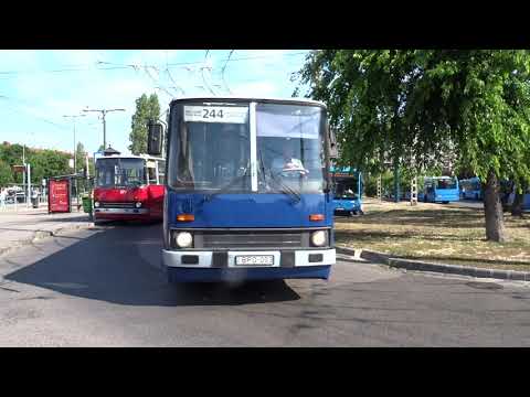 2020 jún 04 Film1 Ikarus 280 busz 244 Örs v t Budapest 14k So 0238