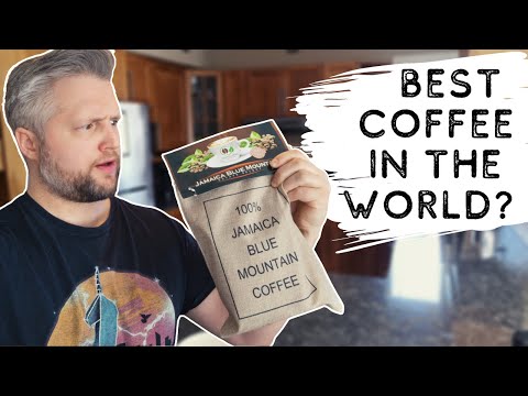 The Best Coffee on The Planet? Jamaican Blue Mountain Coffee Review