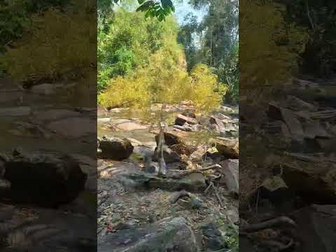 lugar bom de passear com sua família cachoeira da t8 em urupa Rondônia