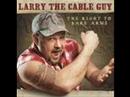 WWJD-Larry the cable guy