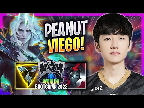 PEANUT IS SUPER CLEAN WITH VIEGO! - GEN Peanut Plays Viego JUNGLE vs Fiddlesticks! | Bootcamp 2023