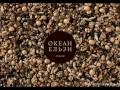 Океан Ельзи - Стріляй (2013)
