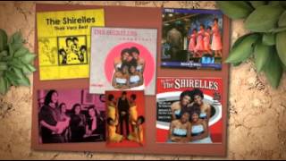 THE SHIRELLES my willow tree