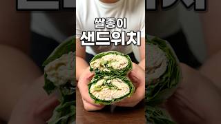 닭가슴살 랩 샌드위치 (Chicken Breast Wrap Sandwich)